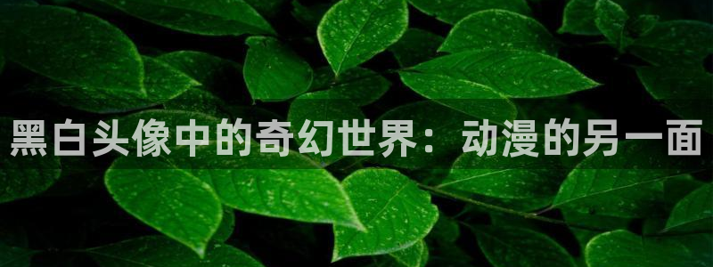 cos动漫天堂官网下载