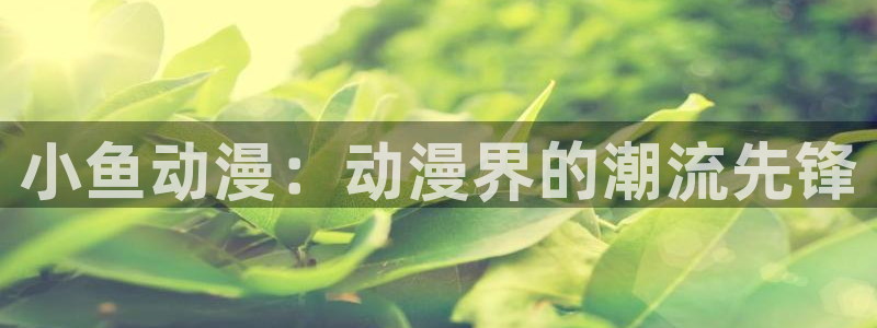 下载动漫天堂