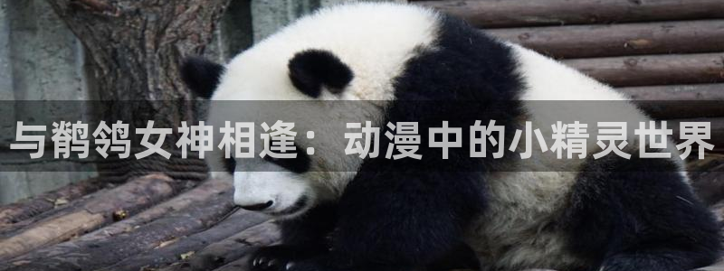 免费动漫天堂之吻：与鹡鸰女神相逢：动漫中的小精灵世界