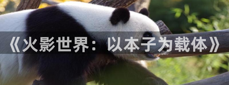 禁漫动漫天堂：《火影世界：以本子为载体》