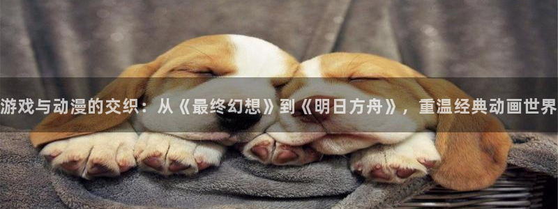 18禁动漫天堂：游戏与动漫的交织：从《最终幻想》到《明日方舟》，重温经典动画世界