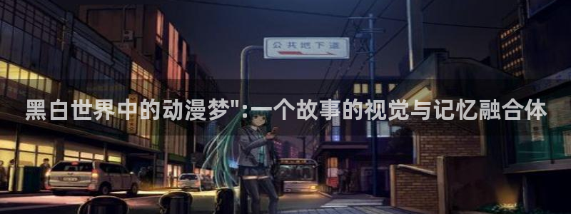 coco动漫天堂：黑白世界中的动漫梦\