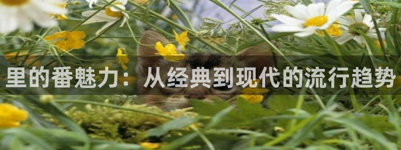动漫天堂免费：里的番魅力：从经典到现代的流行趋势