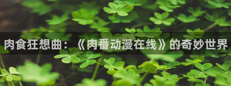 91动漫天堂：肉食狂想曲：《肉番动漫在线》的奇妙世界