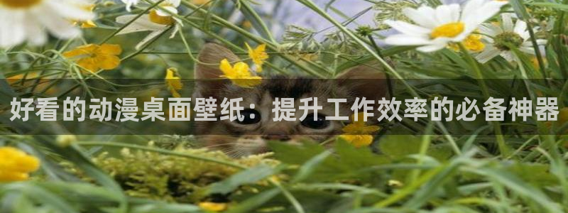 成人动漫天堂av：好看的动漫桌面壁纸：提升工作效率的必备神器