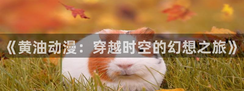 动漫天堂.：《黄油动漫：穿越时空的幻想之旅》