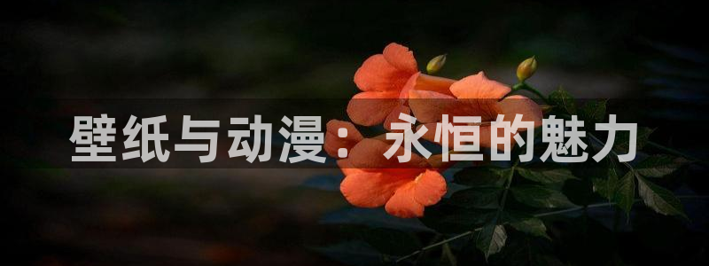 动漫天堂在线免费观看：壁纸与动漫：永恒的魅力