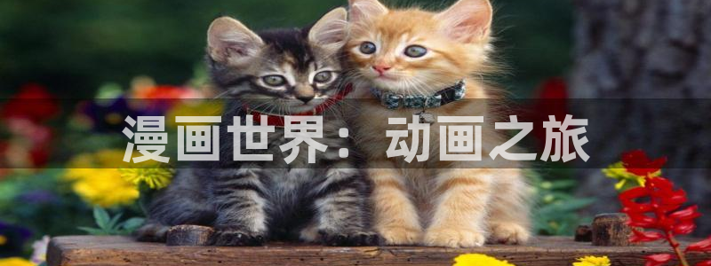免费动漫天堂之吻：漫画世界：动画之旅