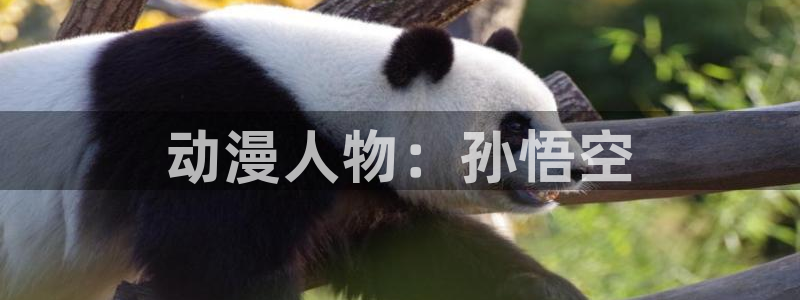 免费a漫动漫天堂.：动漫人物：孙悟空