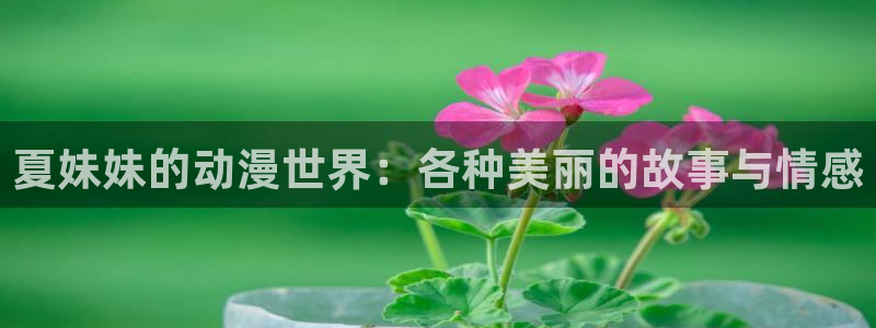 动漫天堂免费在线观看：夏妹妹的动漫世界：各种美丽的故事与情感