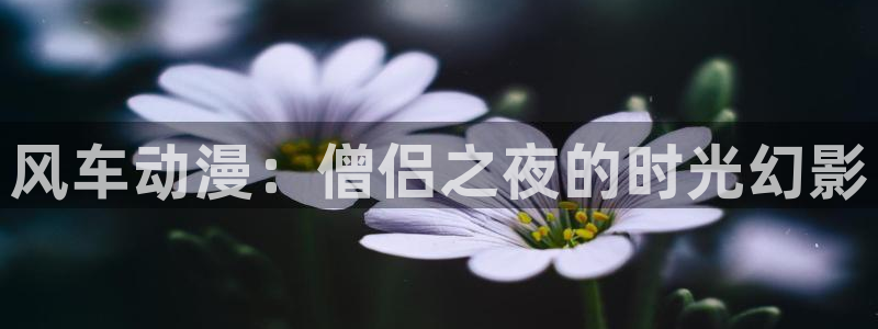动漫天堂网：风车动漫：僧侣之夜的时光幻影