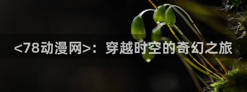 动漫天堂网站：<78动漫网>：穿越时空的奇幻之旅