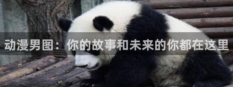 动漫天堂在线观看：动漫男图：你的故事和未来的你都在这里