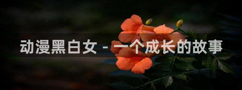 成人动漫天堂：动漫黑白女 - 一个成长的故事