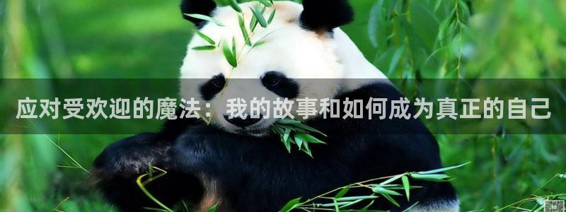原神禁动漫天堂：应对受欢迎的魔法：我的故事和如何成为真正的自己