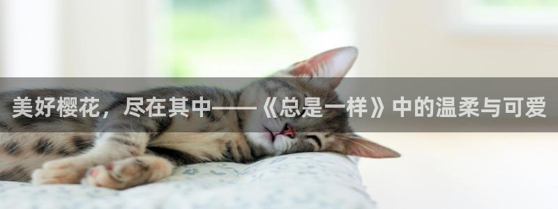 动漫天堂3d：美好樱花，尽在其中——《总是一样》中的温柔与可爱