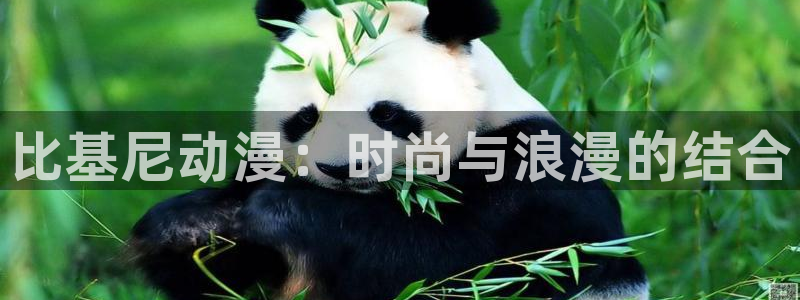 18禁动漫天堂：比基尼动漫：时尚与浪漫的结合