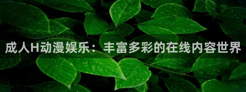 动漫天堂.：成人H动漫娱乐：丰富多彩的在线内容世界