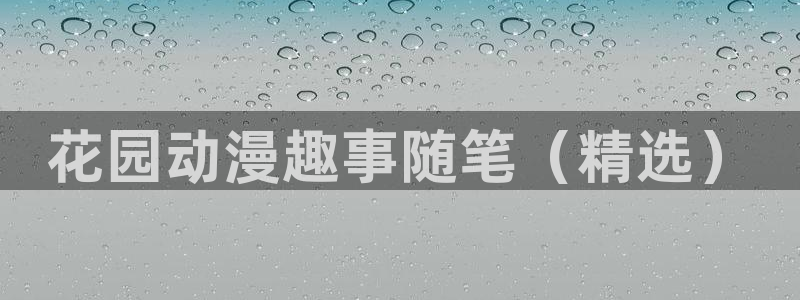 动漫天堂91：花园动漫趣事随笔（精选）