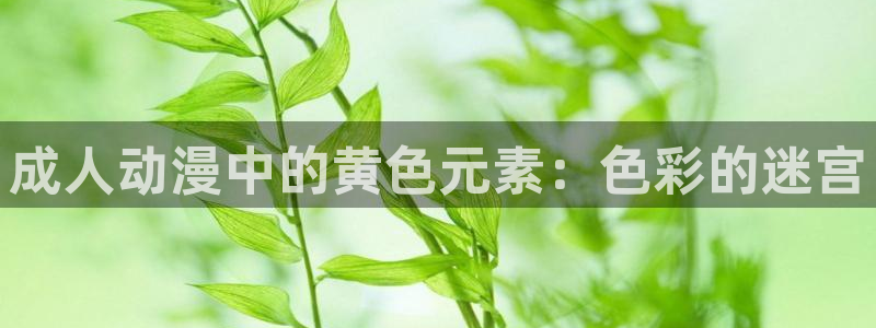 成人动漫天堂av：成人动漫中的黄色元素：色彩的迷宫