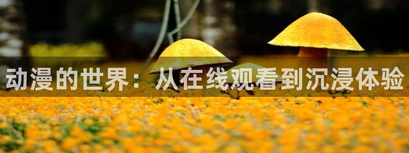 动漫天堂.cc：动漫的世界：从在线观看到沉浸体验