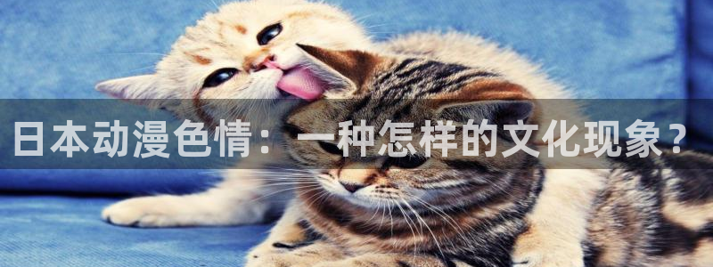 黄动漫天堂：日本动漫色情：一种怎样的文化现象？