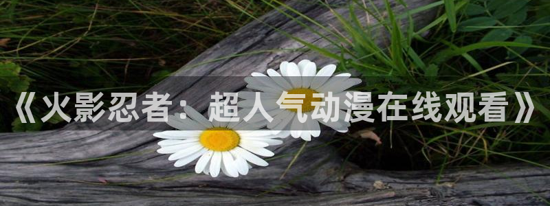 动漫天堂下载：《火影忍者：超人气动漫在线观看》