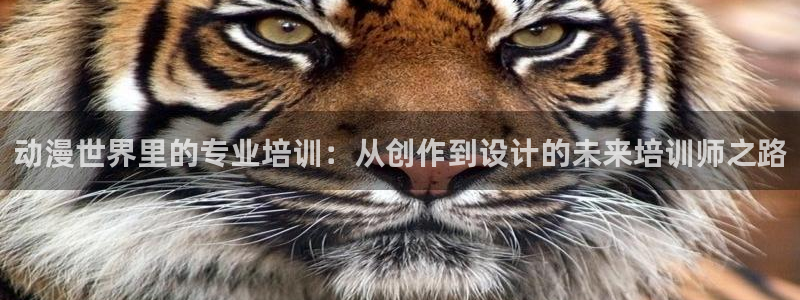 禁动漫天堂：动漫世界里的专业培训：从创作到设计的未来培训师之路