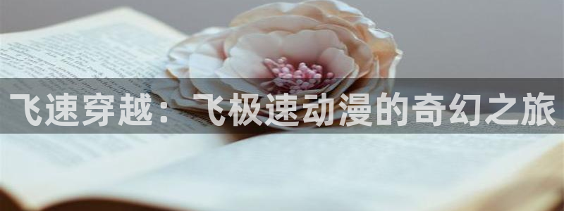成人动漫天堂：飞速穿越：飞极速动漫的奇幻之旅