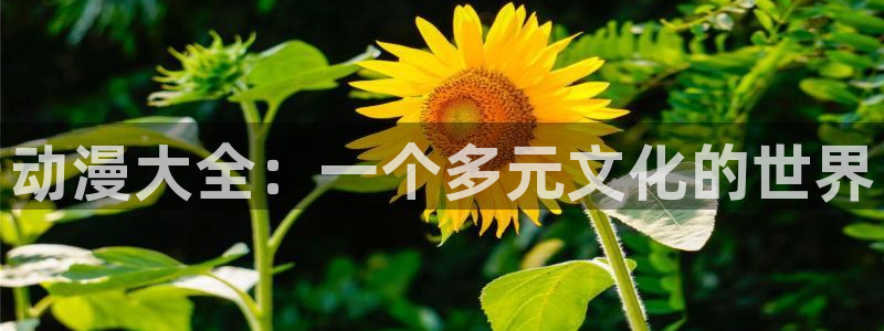 动漫天堂下载安装最新版：动漫大全：一个多元文化的世界