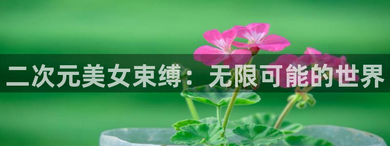 www.动漫天堂：二次元美女束缚：无限可能的世界